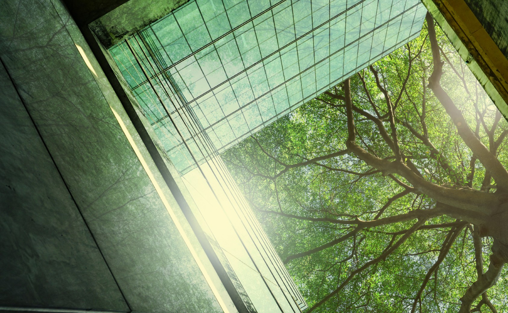 Sustainble green building. Eco-friendly building in modern city.